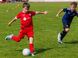 Hillen Cup 2024